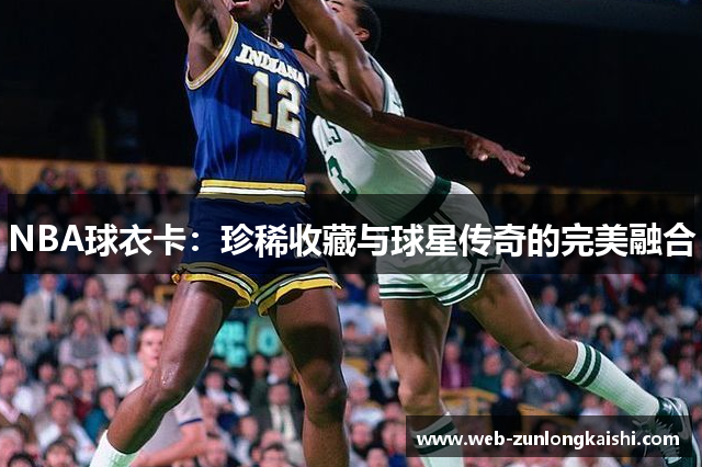 NBA球衣卡：珍稀收藏与球星传奇的完美融合