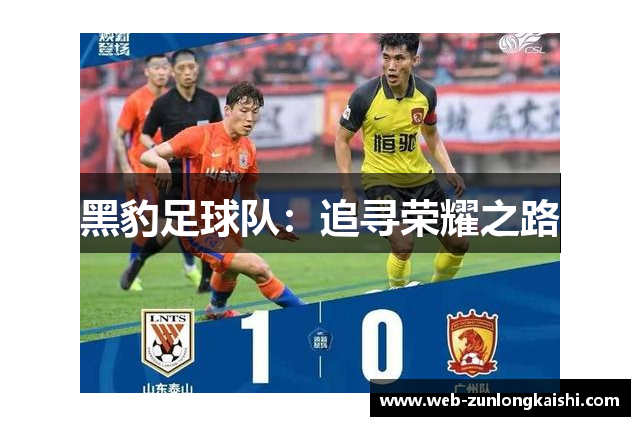 黑豹足球队：追寻荣耀之路